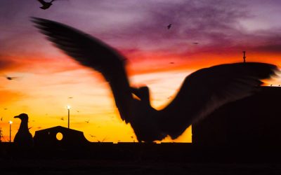 Editorial Design Reise