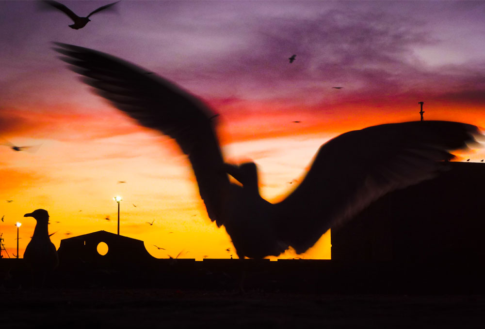 Editorial Design Reise