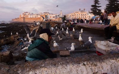 Editorial Design Reise