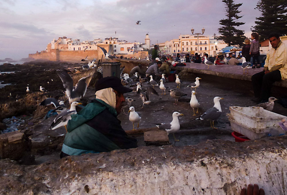 Editorial Design Reise